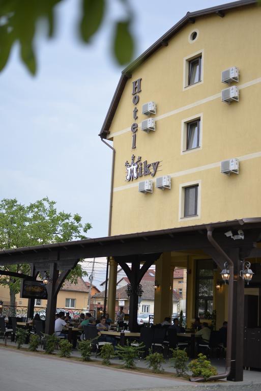 Hotel Miky Arad Exterior photo
